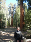 Markus at Sequoia Nat Park