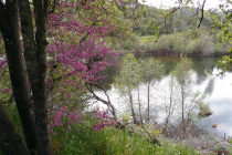 Kerckhoff Reservoir
