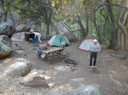 Our site at Sequoia Nat Park