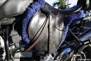 25 Oct 09 -- Custom saddle