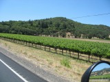 Wine country