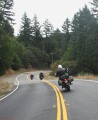 Avenue of the Giants