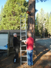 Bird feeder in rerpair,Chris and Randy