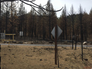 Fire damage at the Wolf Creek turnoff