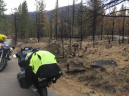 Fire damage at the Wolf Creek turnoff
