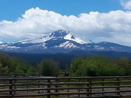 Mt. Washington Oregon