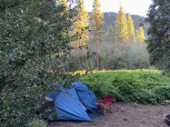 Tom tenting in dawn's early light